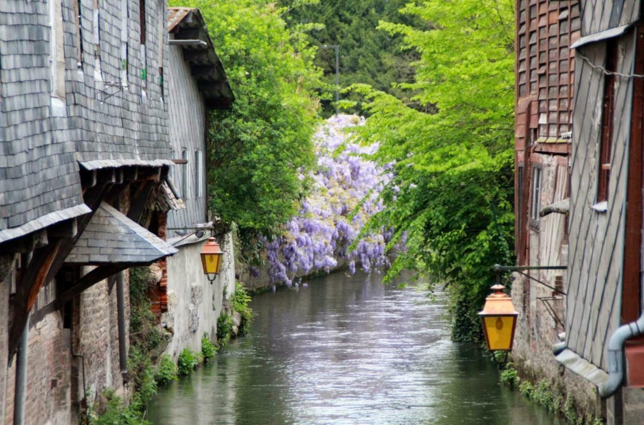 Le Clos Des Hortensias Toutainville Exterior foto